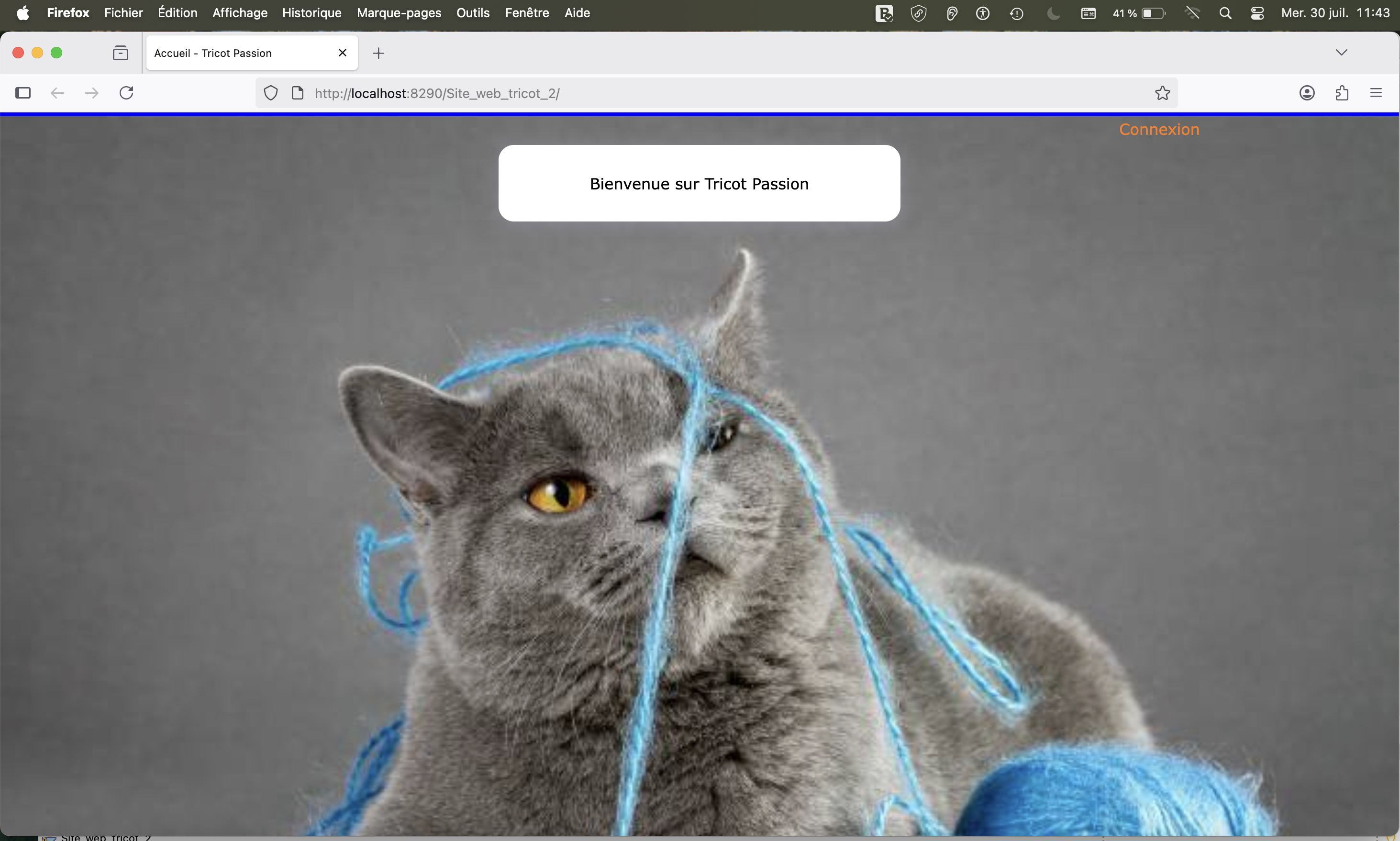 Projet Site Web Dynamique