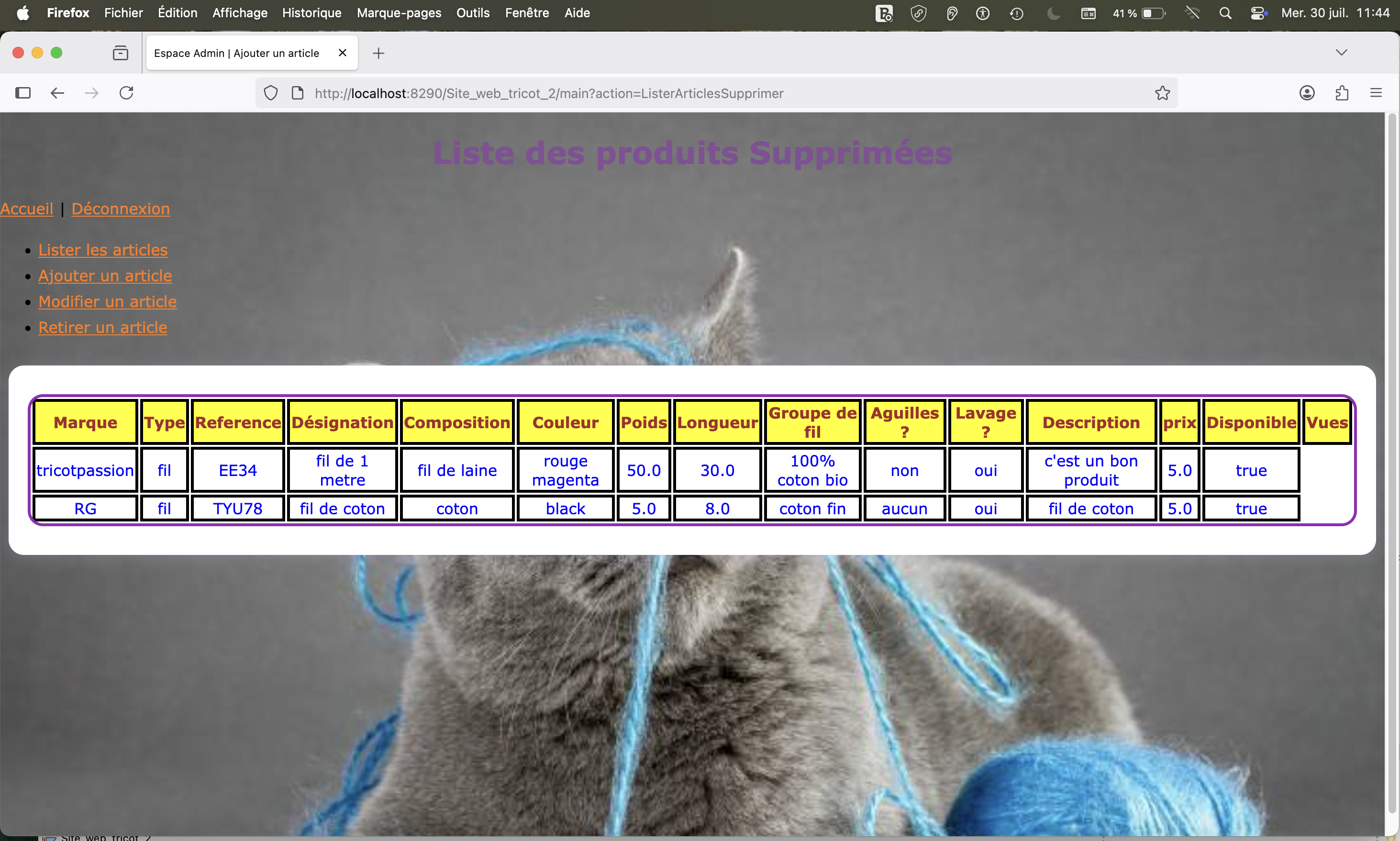 Projet Site Web Dynamique