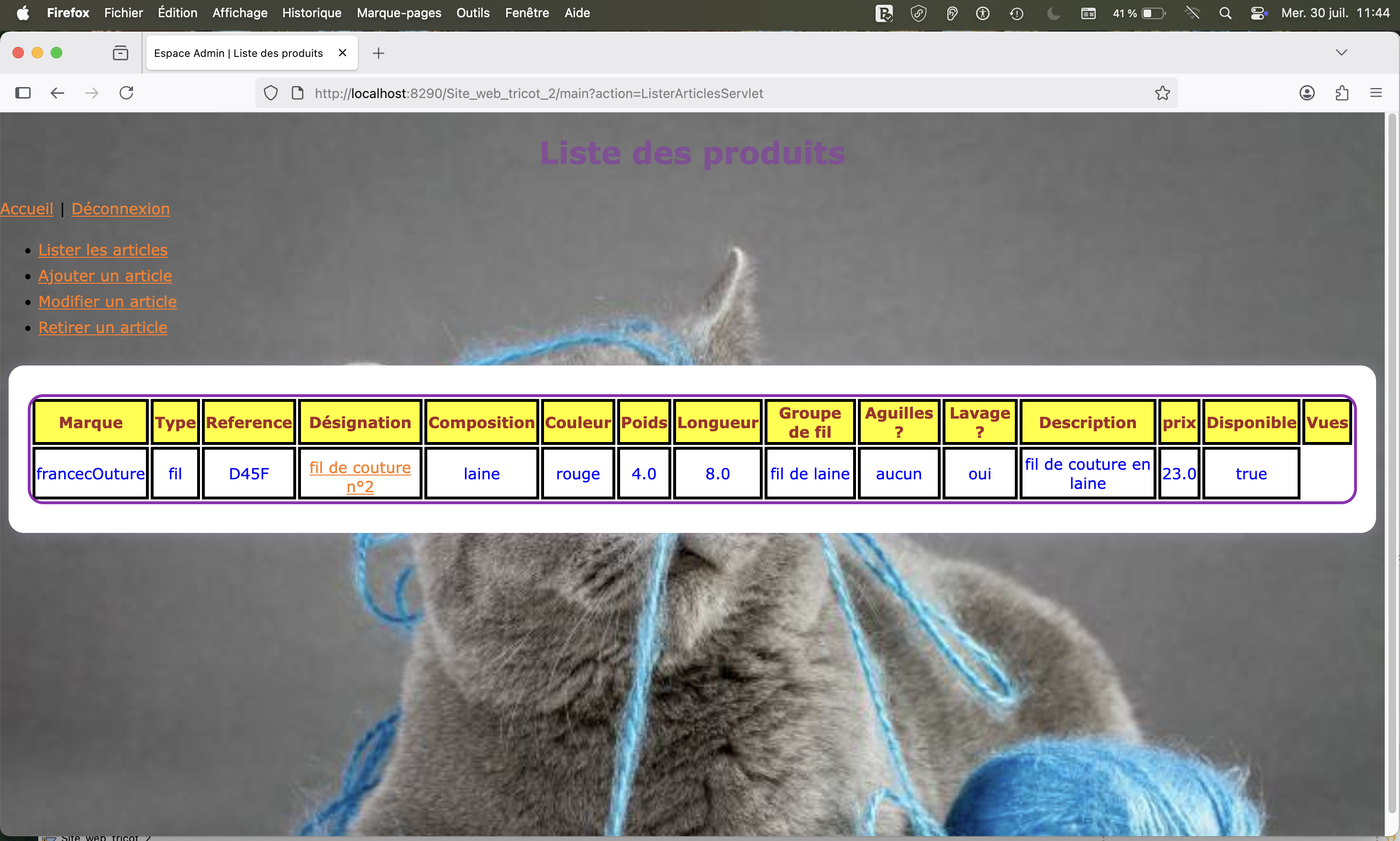 Projet Site Web Dynamique